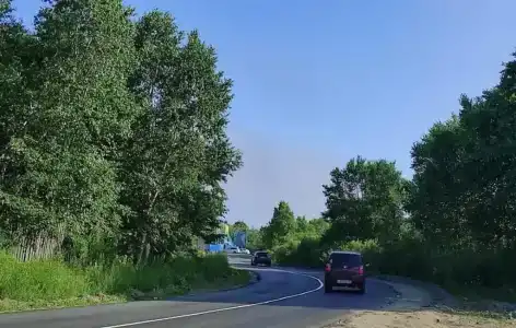 Золотари 5+ - 47
