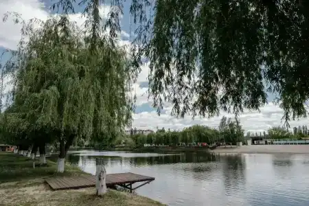 Макарди - 16