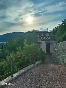 Багира - 21