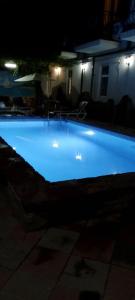 Дельфиния - 22