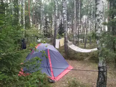 Белое озеро - 53