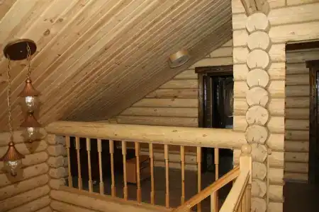 Зеленый Бор - 45