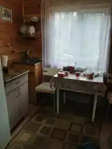 Усадьба у Гришаевых - 38