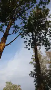 Вуокса парк - 45