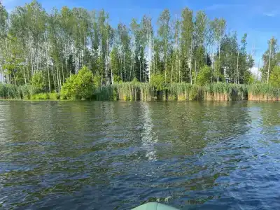 Богданово - 31