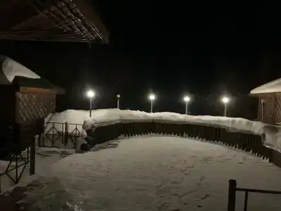 Альбатрос - 94