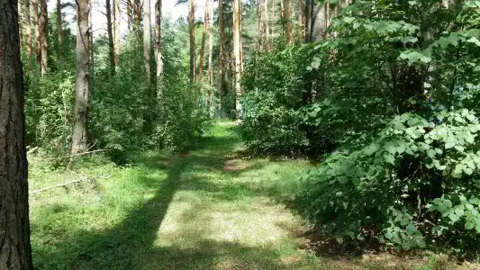 Волна - 35