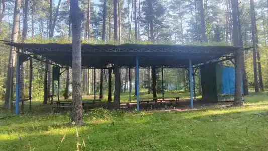 Волна - 7