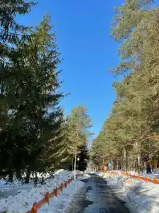Бунырвилль - 10