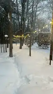 Лесной Привал - 54