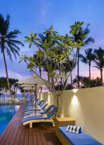 The Lucky Elephant - 28