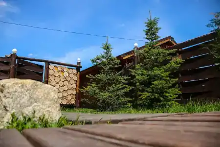 Бодрый Лось - 43