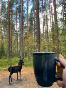 Глэмпинг Shanti Home - 82