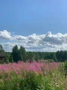 Глэмпинг  Прованс - 14