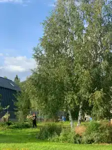 Глэмпинг  Прованс - 30