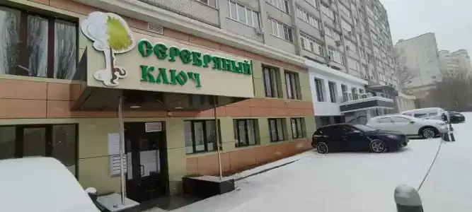 Серебряный ключ - 6