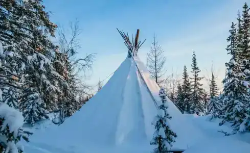 Северный олень - 0