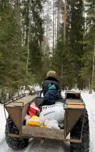 Северный олень - 9