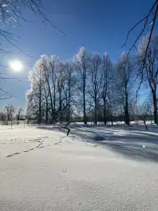 Романовъ home - 27