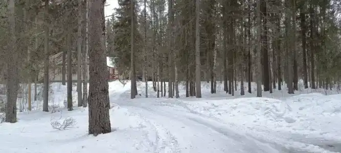 Бабонегово - 17