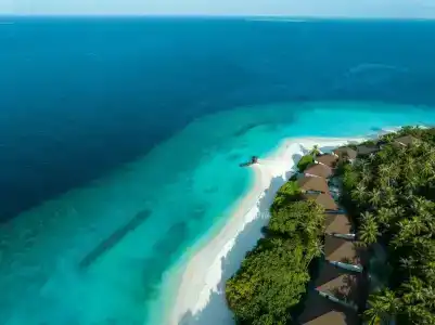 Avani+ Fares Maldives Resort - 6