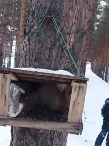 Ясная Поляна - 28