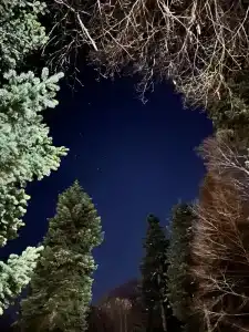 Алан - 25