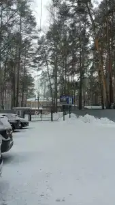 Яльчик - 40