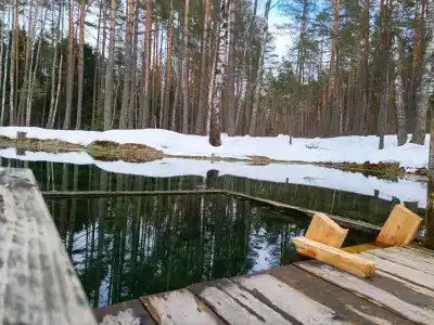 Пышкин луг - 17