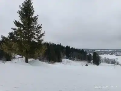 Фристайл - 6