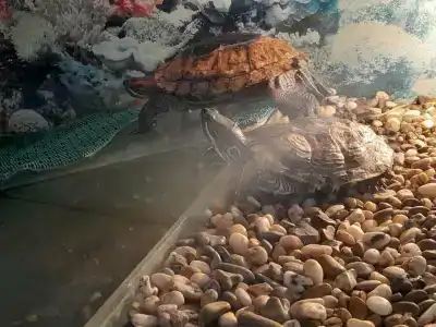 Томь-Усинский - 23