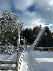 Шанти Афрейм - 5