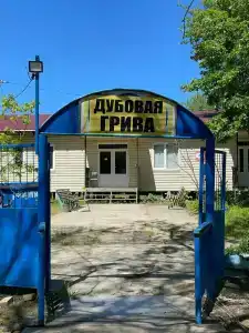 Дубовая Грива - 51