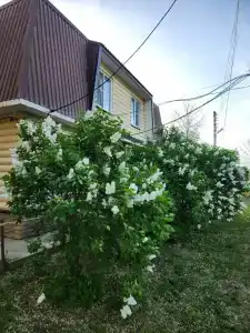 Русь-Чаган - 31