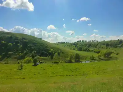 Аргамач - 12