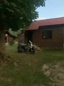 Платан - 11