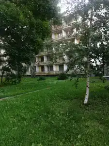 Березки - 8