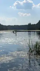 Родничок - 8