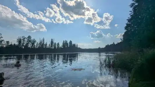 Родничок - 7