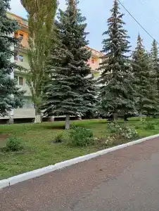 Санаторий-профилакторий Ольховка - 15