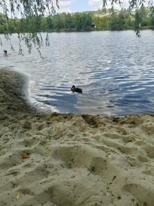 Монахов пруд - 58