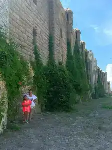 Роза Ветров - 10