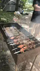 Сытый Кот - 50