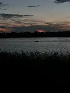 Медовец - 31