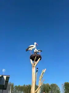 Усадьба Святогорье в Подгорново - 8