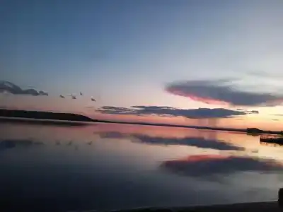 Совушка - 4