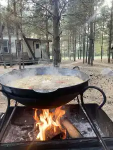 Пчелинцево - 12