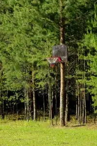 Пчелинцево - 34