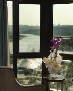 Clarion Golden Horn - 40
