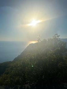 Эколоджия - 46